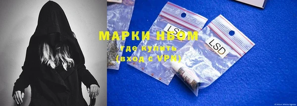 дживик Сясьстрой
