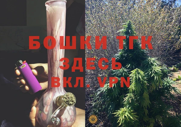 дмт Тайга