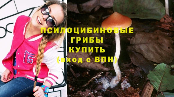 дживик Сясьстрой