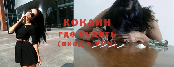 дживик Сясьстрой