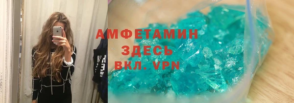 дмт Тайга