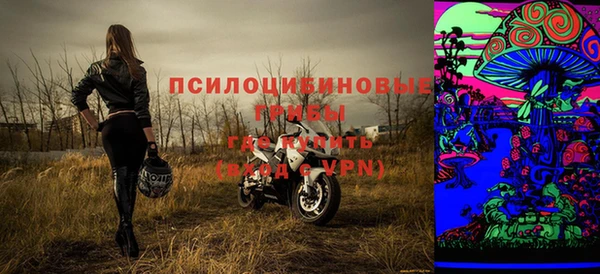 дживик Сясьстрой
