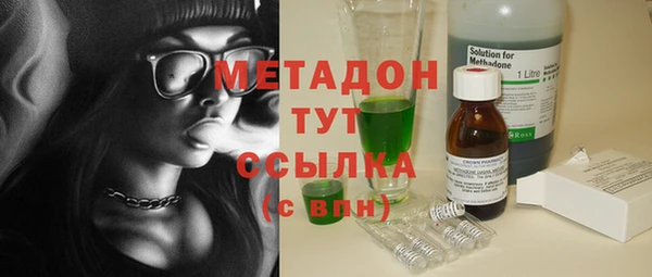 дмт Тайга
