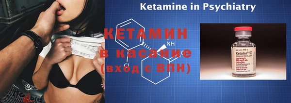 дмт Тайга