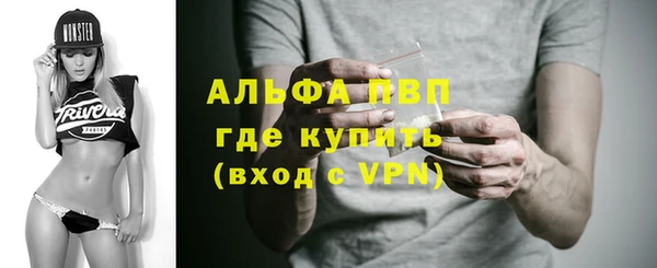 дмт Тайга