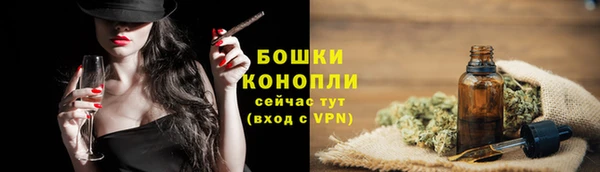 дмт Тайга