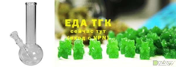дмт Тайга