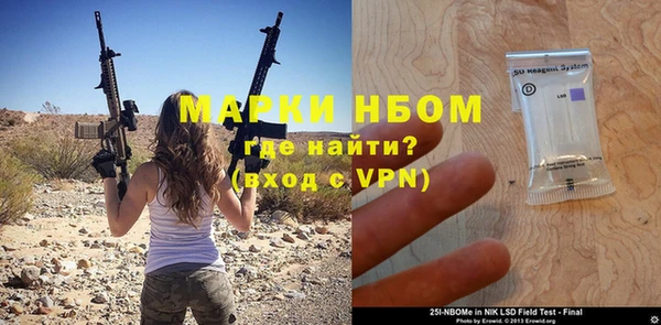 дмт Тайга