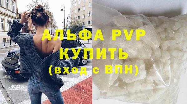 прущие грибы Магадан