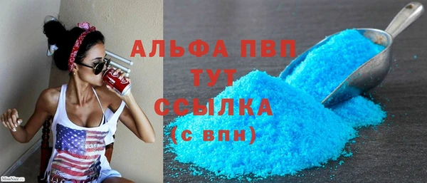дмт Тайга