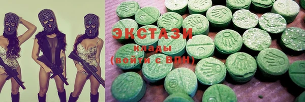 дмт Тайга