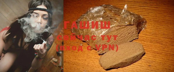 дживик Сясьстрой