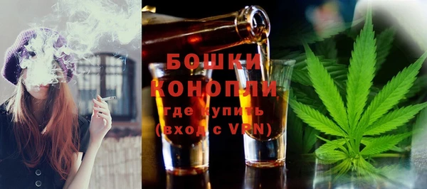 дживик Сясьстрой