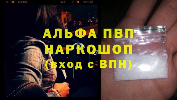дмт Тайга